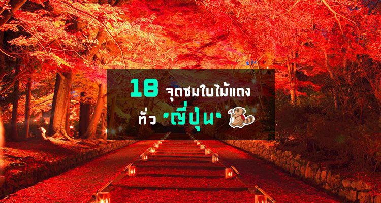 18 จุดชมใบไม้เปลี่ยนสีชื่อดังของญี่ปุ่น