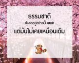 ธรรมชาติยังคงอยู่อย่างนั้นเสมอ