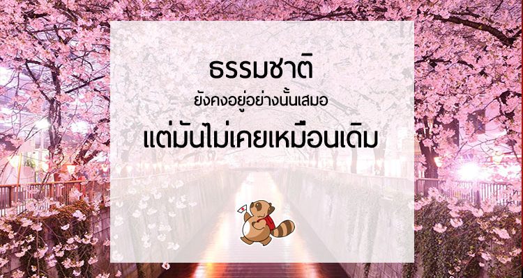 ธรรมชาติยังคงอยู่อย่างนั้นเสมอ