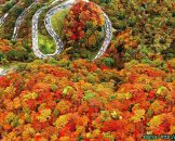 ถนนสายโรแมนติคอิโรฮาซากะ Irohazaka Winding Road