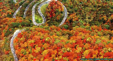 ถนนสายโรแมนติคอิโรฮาซากะ Irohazaka Winding Road