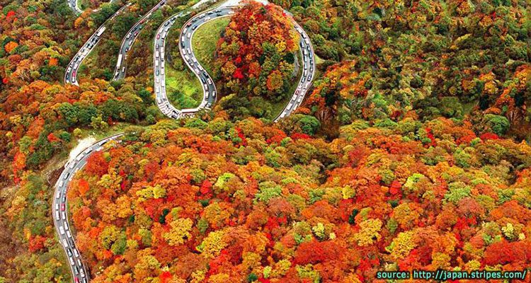 ถนนสายโรแมนติคอิโรฮาซากะ Irohazaka Winding Road