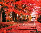 วัดบิชามอนโด Bishamon-do Temple