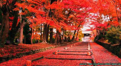วัดบิชามอนโด Bishamon-do Temple