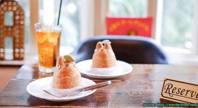 ร้านชูครีมโทโทโร่ Shirohige