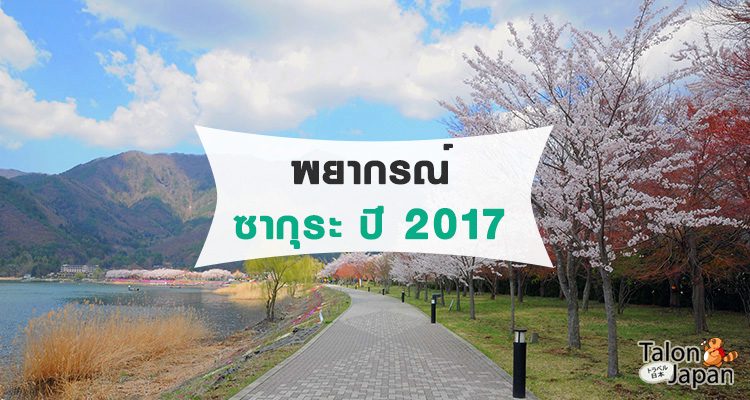 พยากรณ์ซากุระบานปี 2017