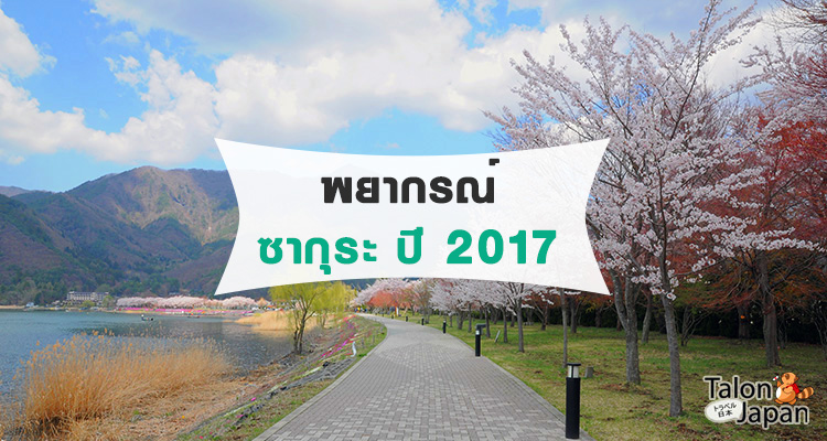 พยากรณ์ซากุระบานปี 2017 ครั้งที่ มาแล้ว! (18/1/2017)