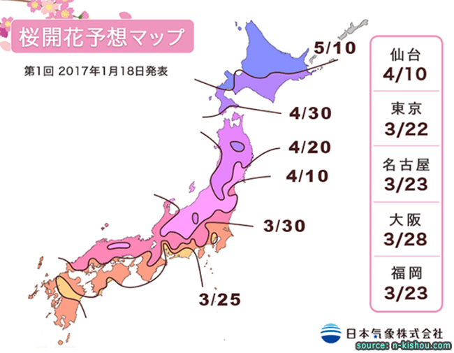 พยากรณ์ซากุระบานครั้งที่ 1 ประจำปี 2017 (18/1/2017)