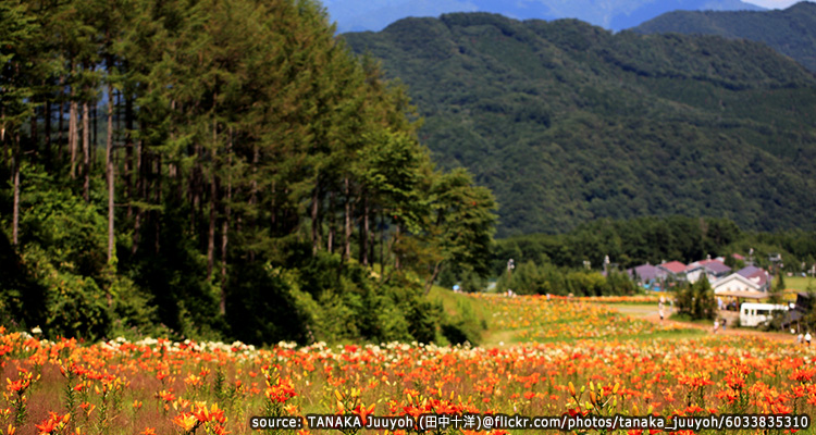 นาสุชิโอบาระ(Nasu-Shiobara)