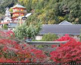 วัดโชโกะซังชิจิ (Chogosonshi-ji Temple)