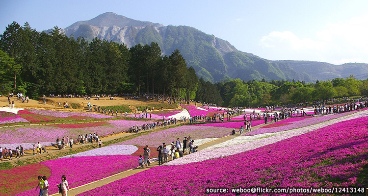 ไซตามะ (Saitama)