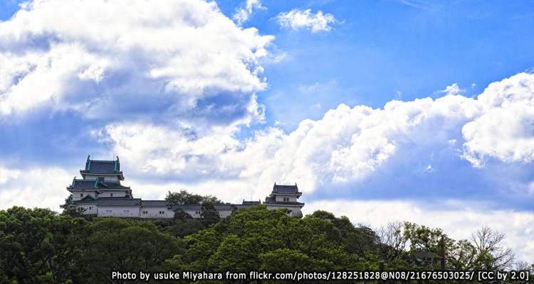 วาคายาม่า(Wakayama)