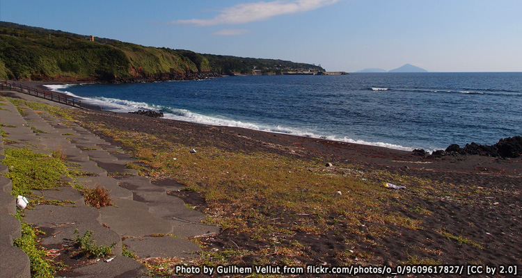 เกาะอิซุโอชิมะ(Izu Oshima Island)