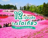 12-easy-day-trips-from-tokyo