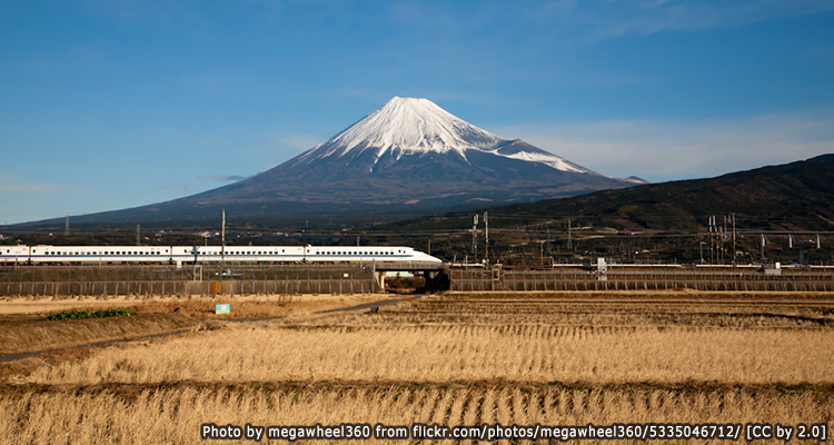 ชิซูโอกะ(Shizuoka)