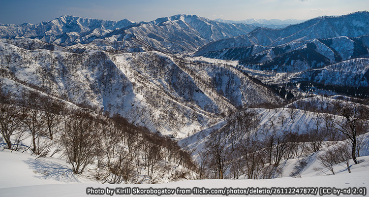 นีงาตะ (Niigata)