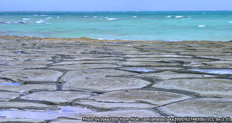 เกาะคุเมะ(Kume Island)