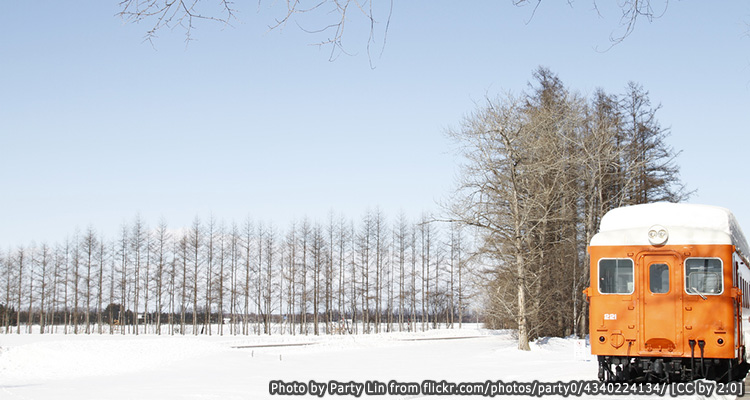 โอบิฮิโระ(Obihiro)