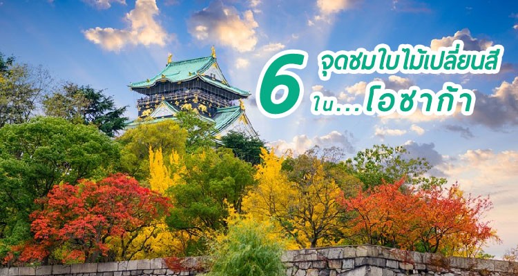 6 จุดชมใบไม้เปลี่ยนสียอดฮิตของโอซาก้า