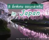 8 สิ่งพิเศษในยามค่ำคืนที่ต้องลอง ของญี่ปุ่น