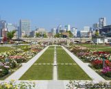 สวนสาธารณะนาโนะชิมะ (Nakanoshima Park)