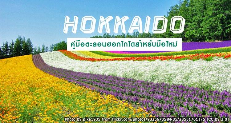 ฮอกไกโดหน้าเดียวจบ! [HOKKAIDO TALON GUIDE] รีวิว เที่ยว กิน ช้อป ที่พัก การเดินทาง