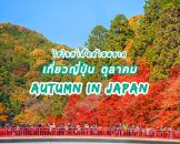 travel-japan-in-october