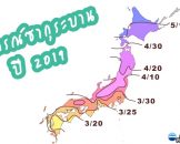 2019 Sakura Forecast พยากรณ์ซากุระบานปี 2562 อัพเดต วันที่ 10 มกราคม