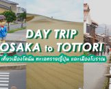 แนะนำ Day trip จากโอซาก้าไปเที่ยวทตโตริ เมืองโคนัน ทะเลทราย และเมืองโบราณ