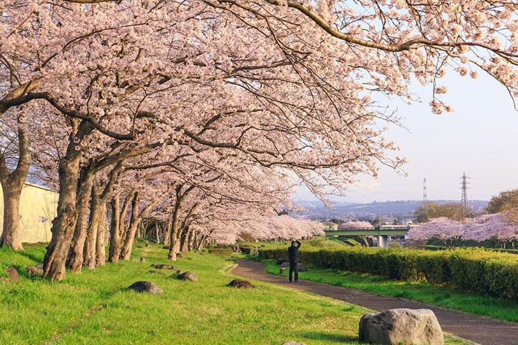 Urui River Shizuoka