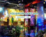 AQUARIUM-x-ART-atoa