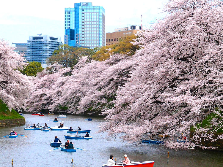 Tokyo