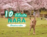 10-places-to-visit-in-nara