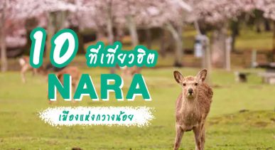 10-places-to-visit-in-nara