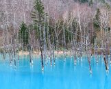Aoiike Blue Pond
