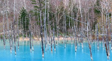 Aoiike Blue Pond