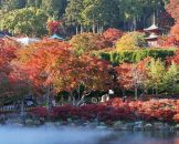 Katsuoji Temple วัดดารูมะ หรือ วัดแห่งชัยชนะ