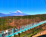 Mishima Sky Walk