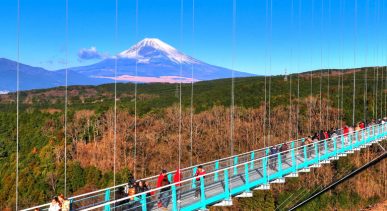 Mishima Sky Walk