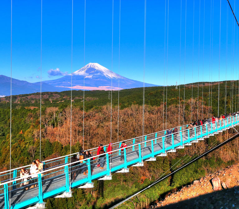 Mishima Sky Walk