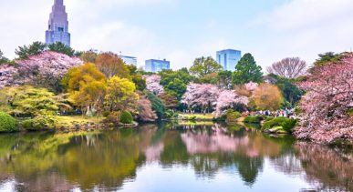 Shinjuku-Gyoen