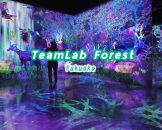 TeamLab-Forest-Fukuoka