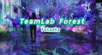 TeamLab-Forest-Fukuoka