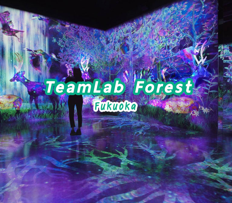 TeamLab-Forest-Fukuoka