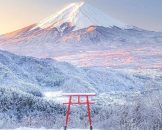 Tenku no torii