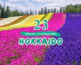 top-places-to-go-hokkaido