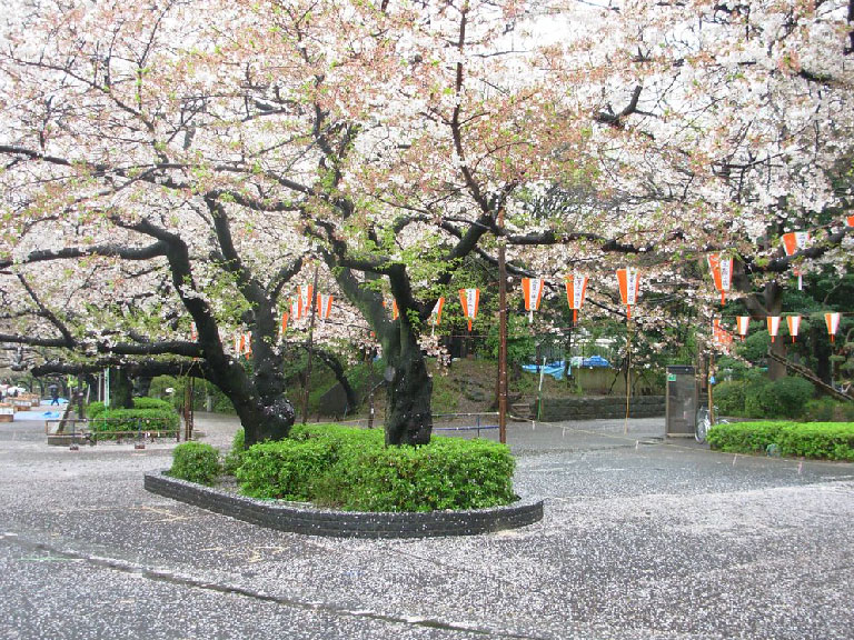 สวนอุเอโนะ ueno