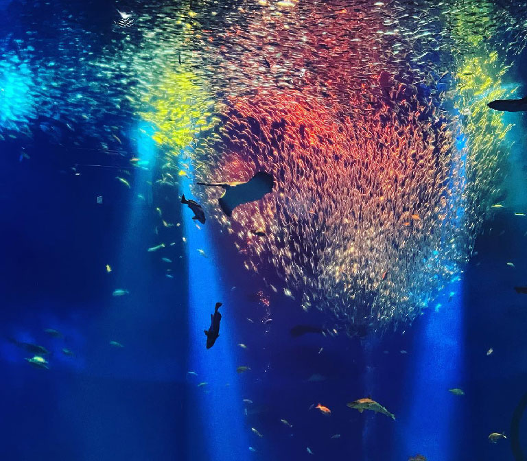 Aquaworld-Ibaraki-Prefectural-Aquarium-1