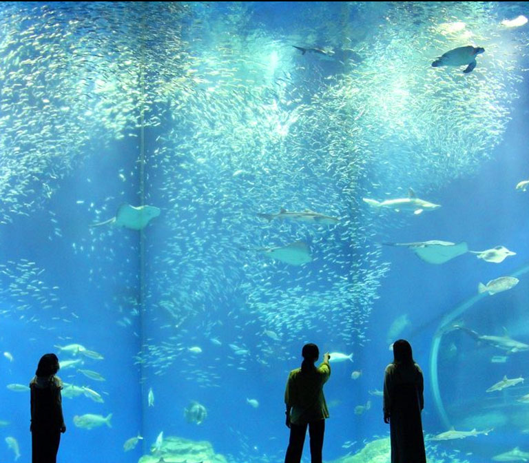 Aquaworld Ibaraki Prefectural Aquarium