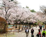 Kairakuen Garden